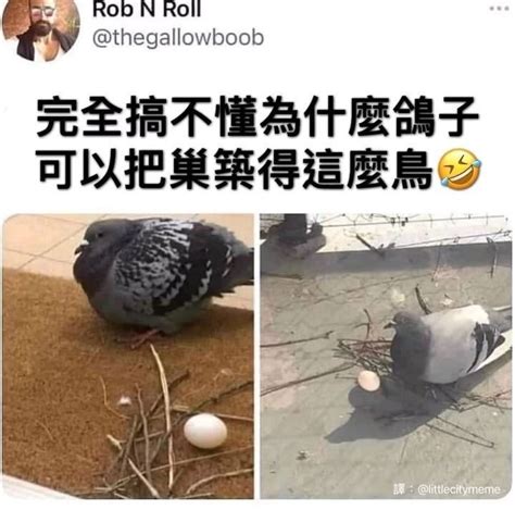 下面長蜘蛛網梗圖|都長蜘蛛網了 ️ 更多好笑的 追蹤 @meme.